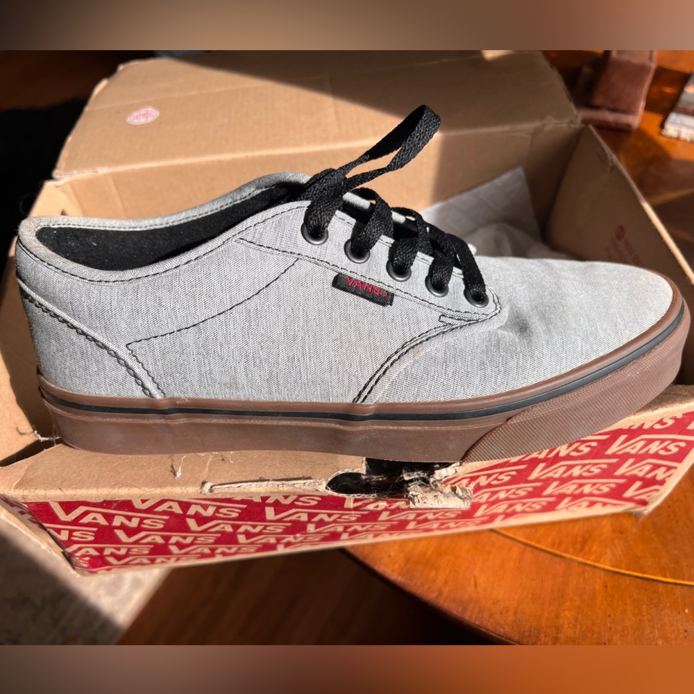 Vans Atwood Shoes